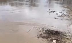 Büyük Menderes Nehri taştı