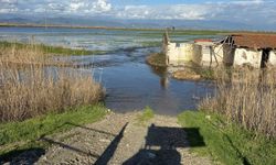 CHP’li Bülbül, Koçarlı’yı meclis gündemine taşıdı