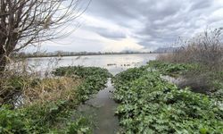 CHP’li Karakoz, üreticilerin sel mağduriyetini meclise taşıdı