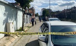 Aydın'da yaşlı çiftin cinayetinde itiraf geldi: Para istedi, reddedilince katletti!