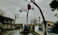 Çine Belediyesi’nden önlem: Güvenlik tehdidi oluşturuyordu