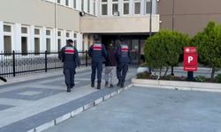 Aydın'da çocuk müstehcenliği operasyonunda: 1 tutuklama