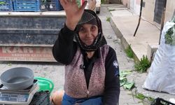 75 Yaşında 35 yıllık emek: Cumartesi Pazarı’nın güler yüzlü markası Ümmühan Teyze