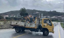 Aydın'da şok görüntü: Zeytin ağacı karayolunu ikiye böldü