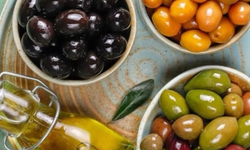 Didim Ziraat Odasının eğitim merkezi açılıyor