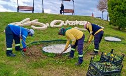 Didim Belediyesinden yeşil alanlarda bakım çalışması