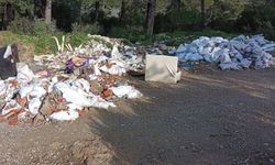 'Doğa'nın isyanı Kuşadası'ndan yükseldi