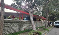 Efekent Pazaryeri’nde rüzgar ağacı devirdi