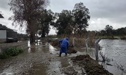 Germencik’te hayvan çiftliğini su bastı