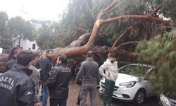 Aydın'da hastane otoparkında faciadan dönüldü