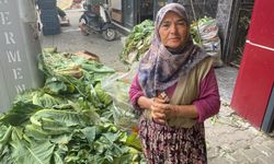 Helal olsun sana Cennet teyze