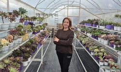Hobi diye başladı, ‘Çiçek Bahçesi' kurdu