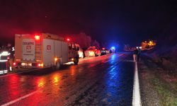 Domuza çarptı, şarampole yuvarlandı