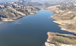 Aydın'a yağmur bereket getirdi