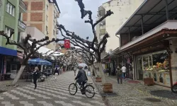 İncirliova’da şap karantinası kaldırıldı