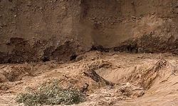 Çay taştı, zeytin ağaçlarını söküp götürdü