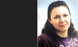 Gurbetten memleketi Aydın'a izne geldi, hayatını kaybetti