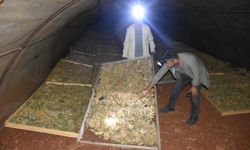 Karacasu'da tütün üreticileri başkanlardan destek bekliyor