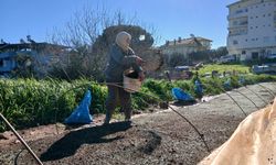Karacasu'da tütüncüler isyanda