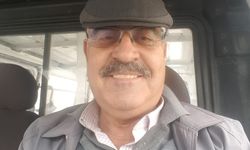 Koçarlı’da 27 büyükbaş hayvan kayboldu: Bulana 100 bin lira ödül var