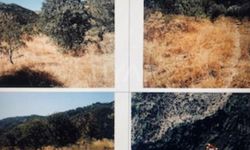 Kuyucak’ta motor parasına tarla satılacak