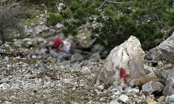 Kuşadası’nda uçurumdan düşen şahıs hayatını kaybetti