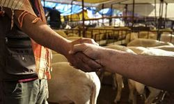 Nazilli'de 8 mahalle nefes aldı