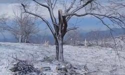 Nazilli’de zirveler beyaza büründü