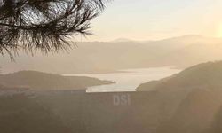 Sağanak yağışlar Aydın'a can verdi