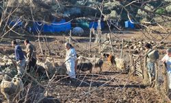 Söke’de afetin bilançosu çıkarıldı