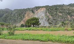Aydın'da yürekleri ağza getiren görüntü