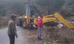 Aydın'da acı bilanço: 46 küçükbaş hayvan telef oldu