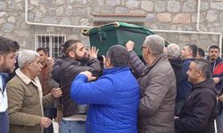 Aydın'da asırlık çınar 107 yaşında hayatını kaybetti