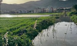 Taşkın, Bıyıklı’ya dayandı: Muhtar Turgan: “Mahalleyi su basacak”