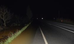 Taşkın suları, Koçarlı-İncirliova yoluna çıktı