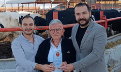 Aydın'da kahreden ölüm: Hayvancılık sektörünün acı kaybı