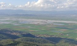 Aydın’da sağanak felaketi: Binlerce dönüm tarım arazisi zarar gördü