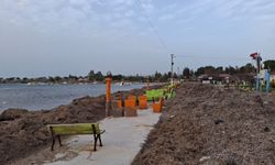 Didim’de fırtınada dev dalgalar oluştu; Otoparkın çatısı uçtu, sahil yosunla doldu