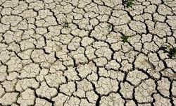 Yağışlar var ama Aydın’da kuraklık tehdidi sürüyor