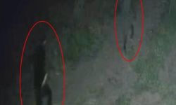 Evinden çıkanları kovaladı, canından oldu