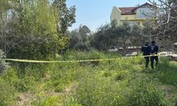 Yalnız yaşayan yaşlı kadın ölü bulundu
