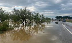 Menderes Nehri taştı, İncirliova-Koçarlı yolu sular altında kaldı