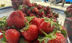 Aydınlı pazarcı esnafından çilek açıklaması