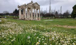 Afrodisias'a bahar geldi