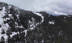 Aydın’a bahar ayında kış sürprizi