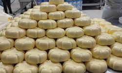 Aydın’da örnek yatırım: Enerjisini doğadan alıyor