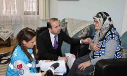 Aydın’da yaşlı çınarlar unutulmadı