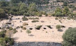 Aydın’ın "öksüz" antik kenti Amyzon, gün yüzüne çıkmayı bekliyor