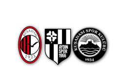 Aydın'da BAL kabusu