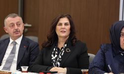 Başkan Çerçioğlu, Ankara'da